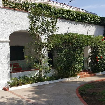 Villa Feli 3 Benicàssim Exteriér fotografie